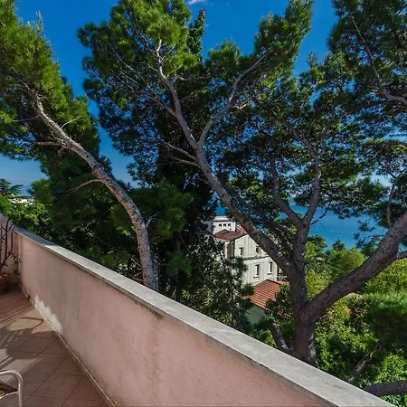 Zdravka * Цриквеница